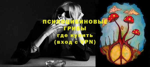 PSILOCYBIN Кодинск