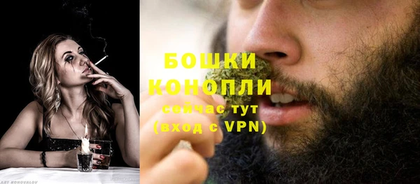 PSILOCYBIN Кодинск