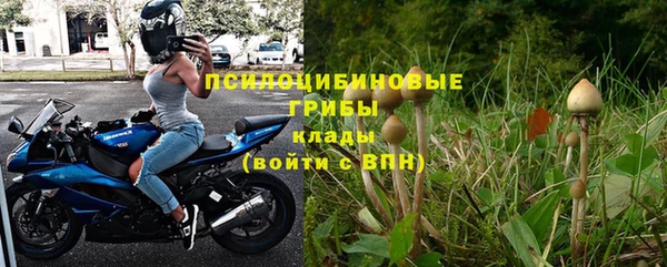 PSILOCYBIN Кодинск