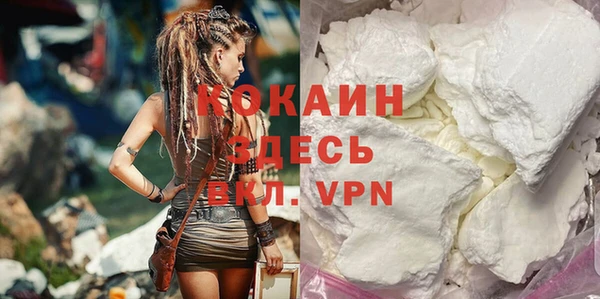 PSILOCYBIN Кодинск