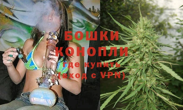 PSILOCYBIN Кодинск