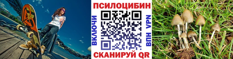 Галлюциногенные грибы Cubensis  Самара 
