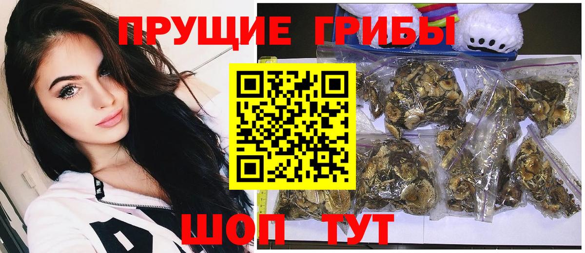 Самара  Псилоцибиновые грибы Psilocybine cubensis  Галлюциногенные грибы Cubensis  Вход с VPN 