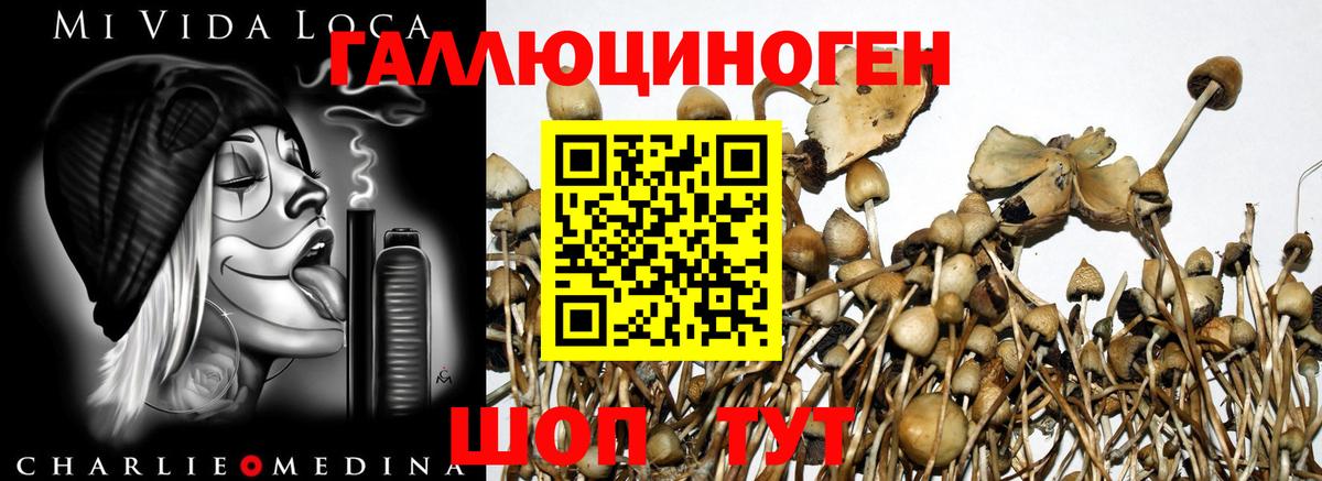 Галлюциногенные грибы GOLDEN TEACHER Самара
